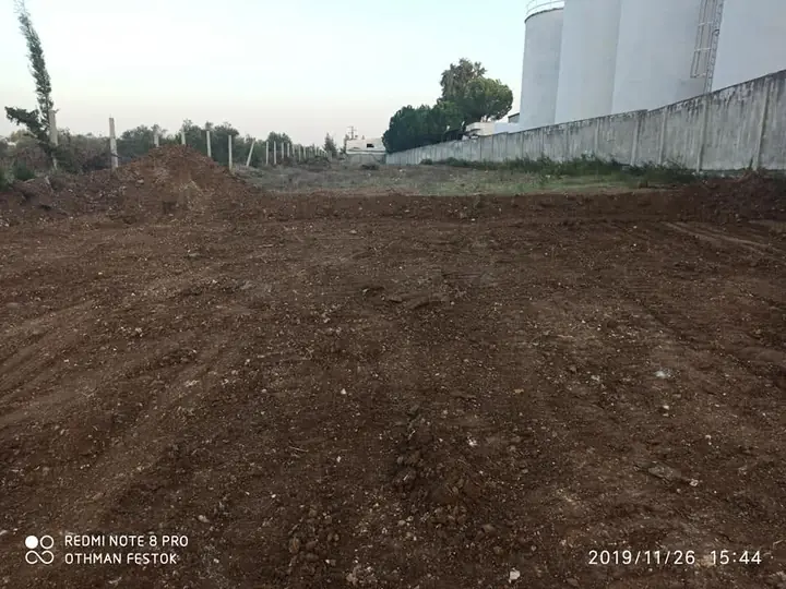 Food Warehouse for the Syrian Olive Oil Company — 8